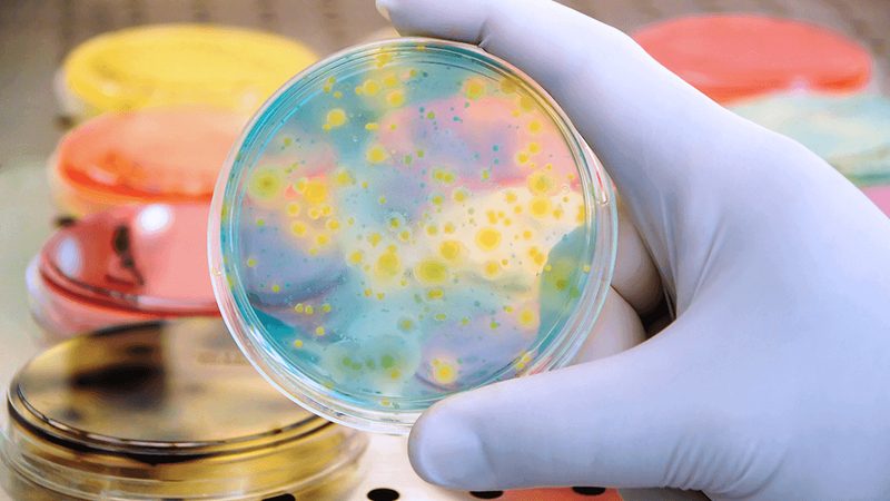 PCR管壁厚：探究其对实验结果的影响