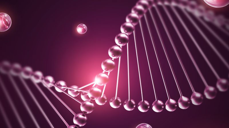 GMP细胞培养操作：安全是基石，细节决定成败**