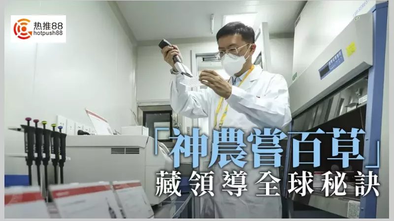基因检测：揭秘国内十大品牌的崛起之路