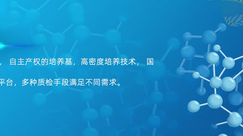 基因检测：揭秘运动基因检测的奥秘与选择