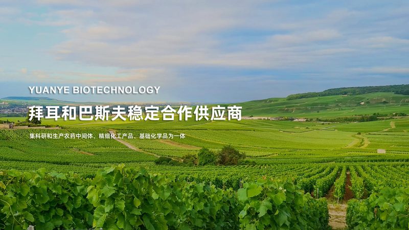 生物医药中间体外包厂家资质，这些关键点你了解吗？**