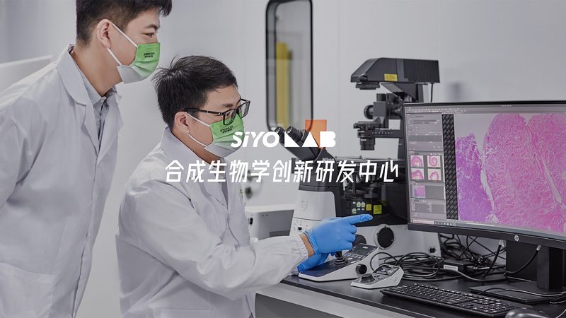 CDMO供应商评估流程