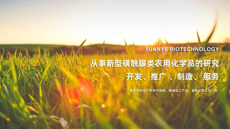 疫苗类生物制品厂家排名：揭秘行业实力与选择标准