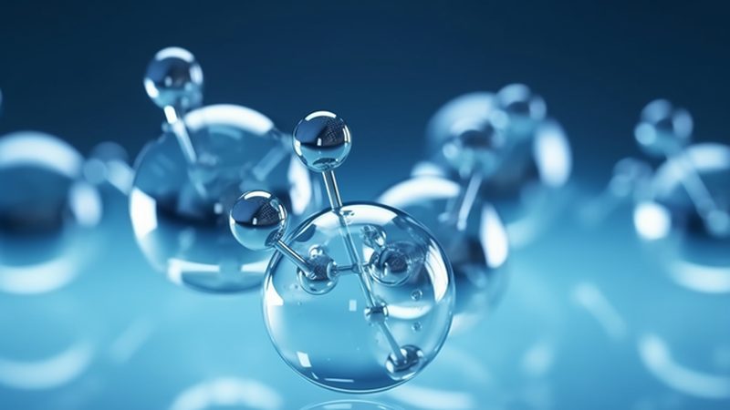 提升原代细胞培养成功率的关键技巧**