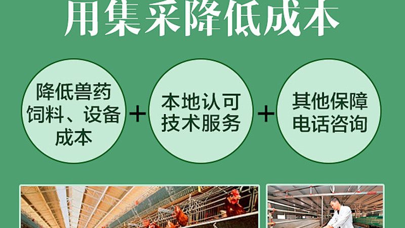 成都细胞培养基定制服务的核心优势解析**