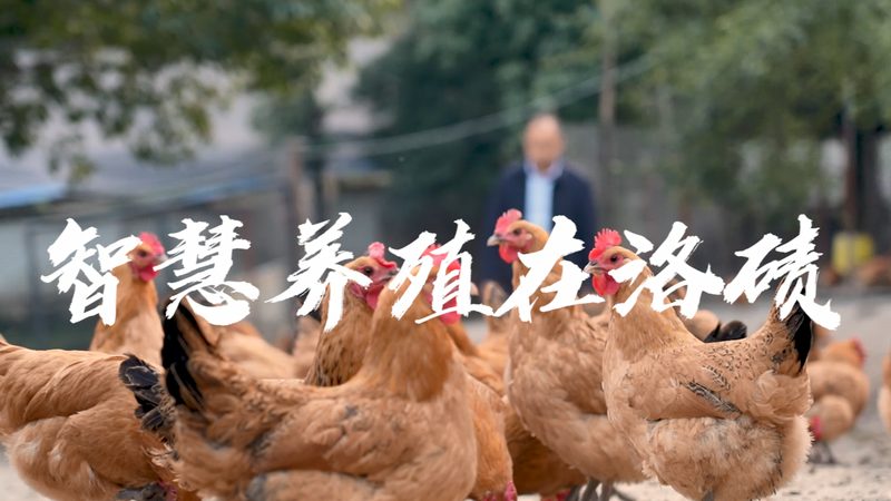 细胞培养实验，这些规范你掌握了吗？**