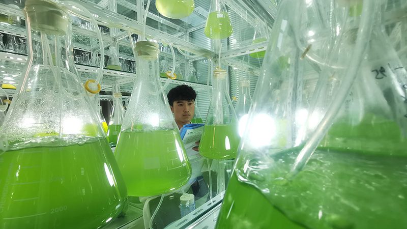 第三方PCR检测标本要求：关键要点与注意事项